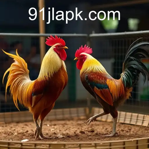 Exploring the Surge of Online Sabong: The Rise of 91JL in the Digital Arena